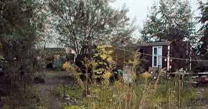 Der Kinderbauernhof