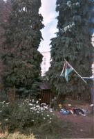 Jardin anarcho-ecolo !